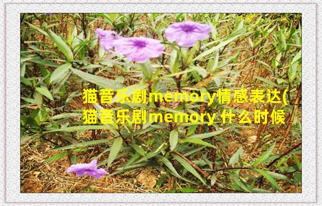 猫音乐剧memory情感表达(猫音乐剧memory 什么时候唱)-情感表达-情感表达